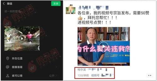 爆料视频每天更新一次,新鲜资讯一网打尽 第1张 爆料视频每天更新一次,新鲜资讯一网打尽 第1张